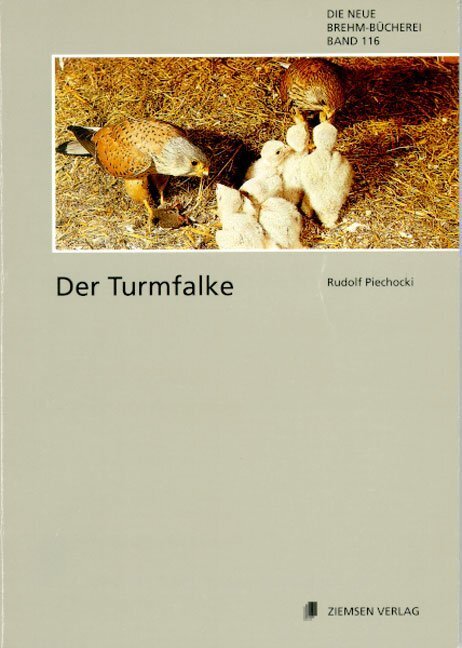 Cover: 9783894323769 | Der Turmfalke | Falco tinnunculus | Rudolf Piechocki | Taschenbuch