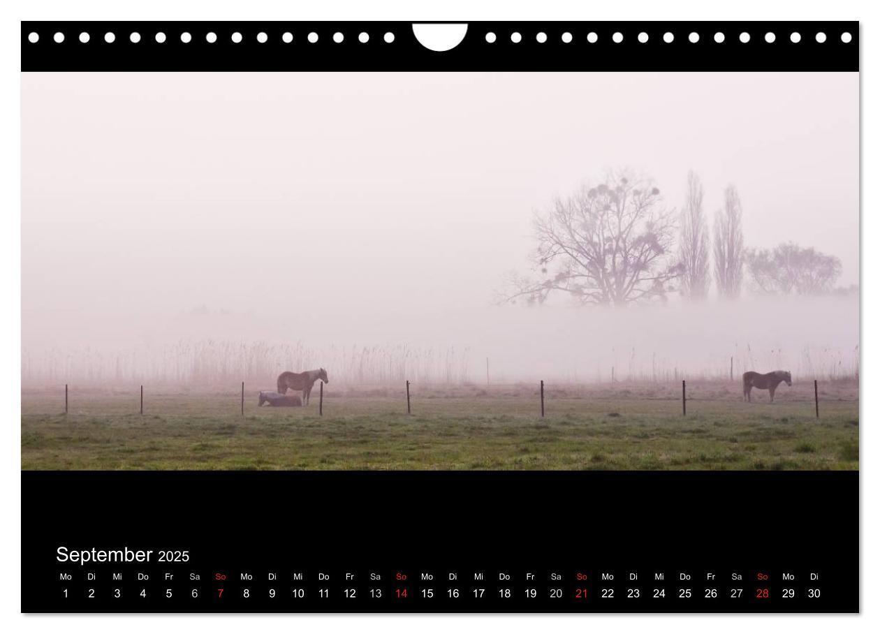 Bild: 9783435795406 | NEBEL (Wandkalender 2025 DIN A4 quer), CALVENDO Monatskalender | 2025