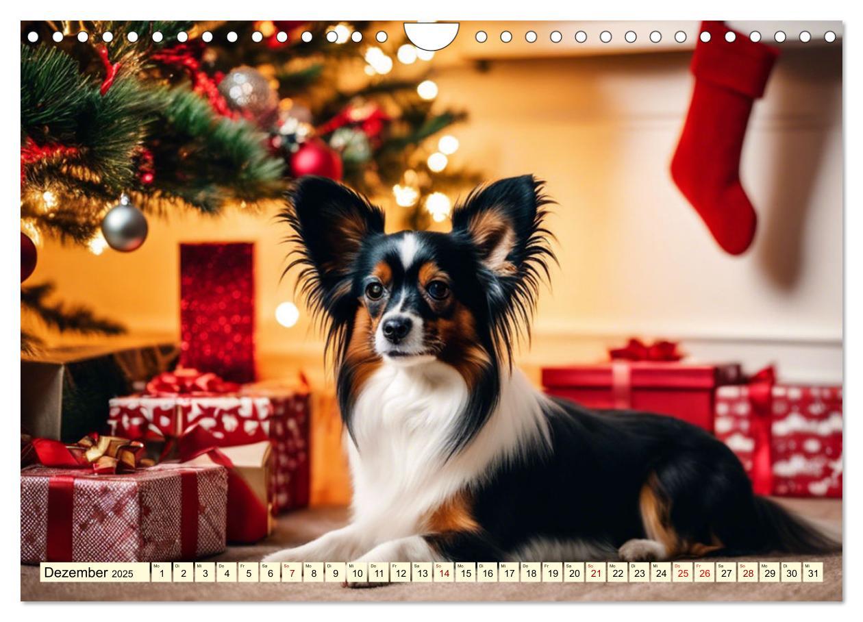 Bild: 9783457124581 | Papillon - bringt jedes Herz zum Schmelzen (Wandkalender 2025 DIN...