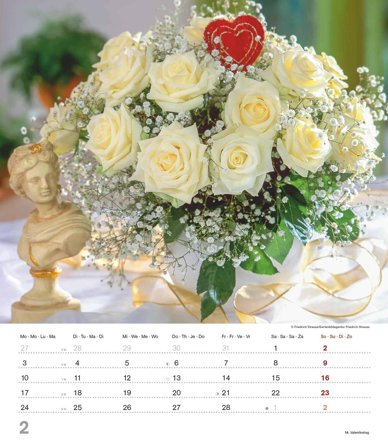Bild: 4251732342135 | Der Duft der Rosen 2025 - Bildkalender 30x34 cm - Kalender mit wohl...