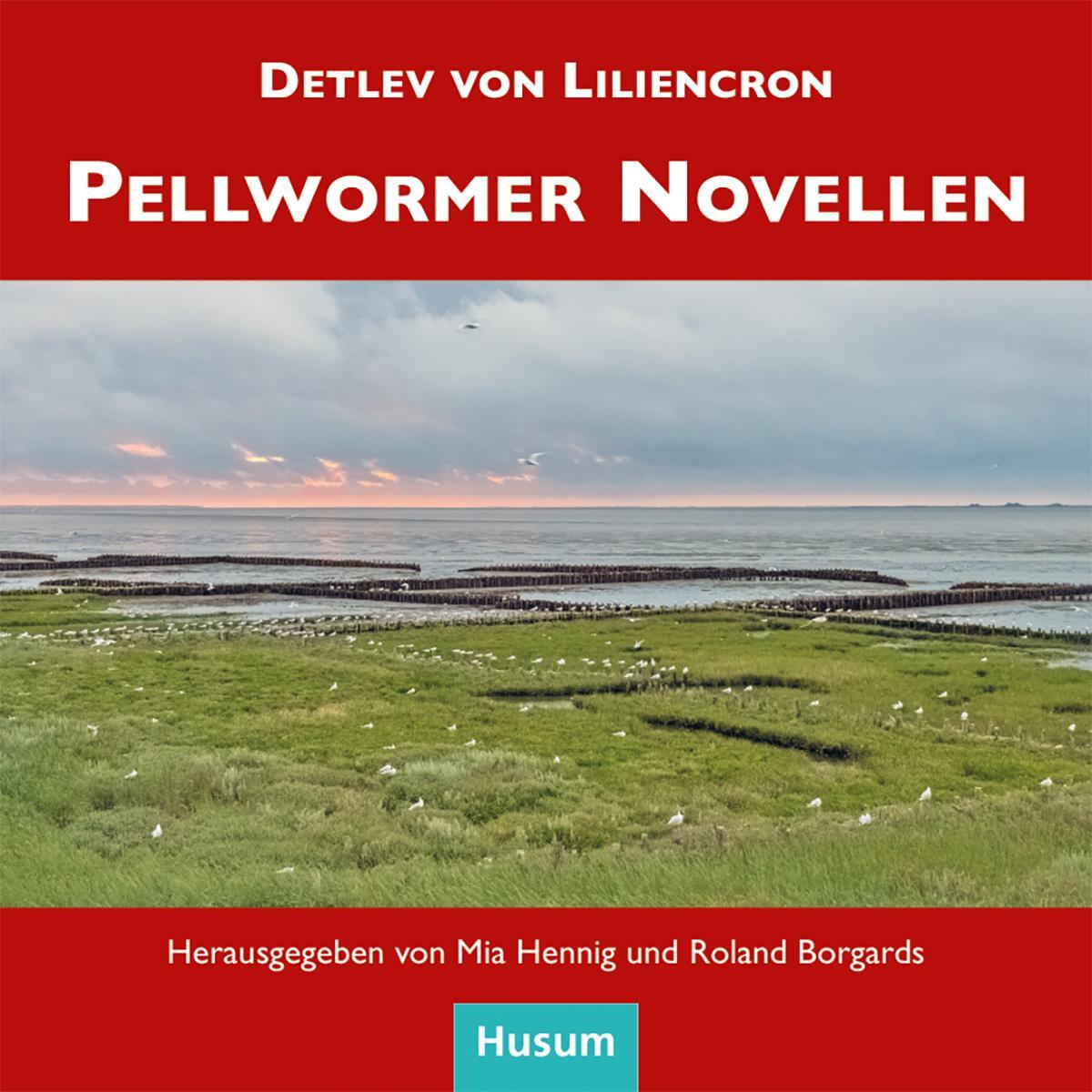 Cover: 9783967171266 | Pellwormer Novellen | Detlev Von Liliencron | Taschenbuch | Deutsch