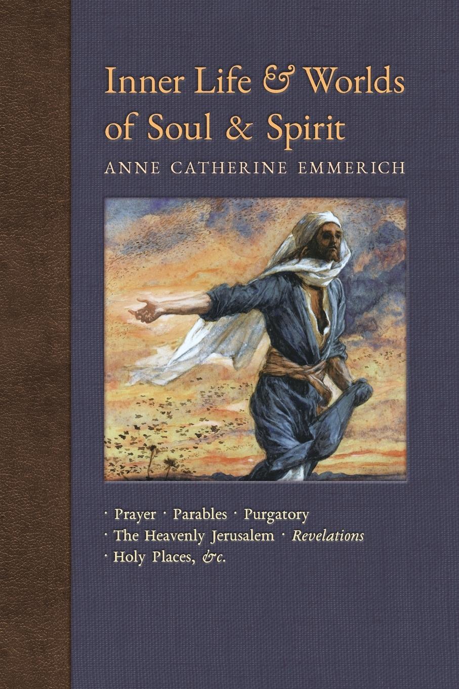 Cover: 9781621383796 | Inner Life and Worlds of Soul &amp; Spirit | Emmerich (u. a.) | Buch