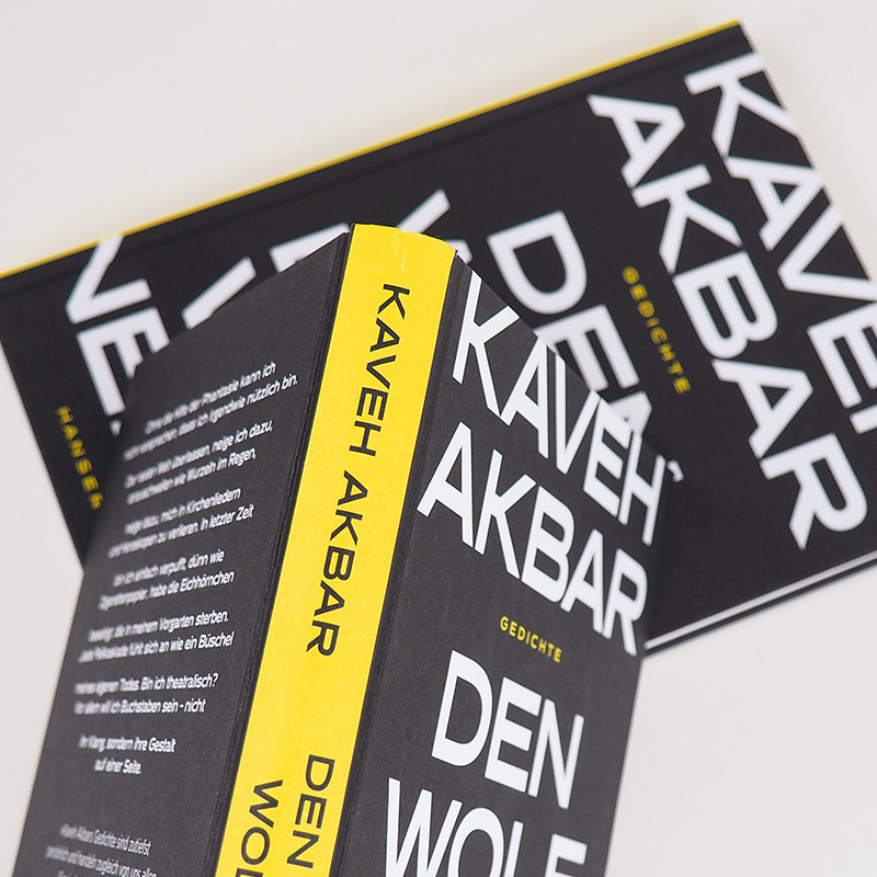 Bild: 9783446269354 | Den Wolf einen Wolf nennen | Kaveh Akbar | Buch | 192 S. | Deutsch