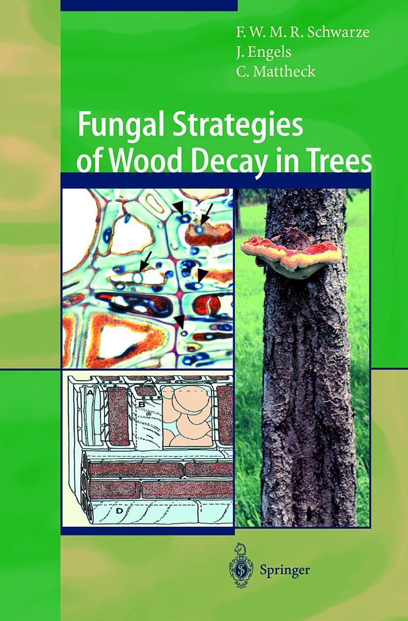 Cover: 9783540672050 | Fungal Strategies of Wood Decay in Trees | Schwarze (u. a.) | Buch