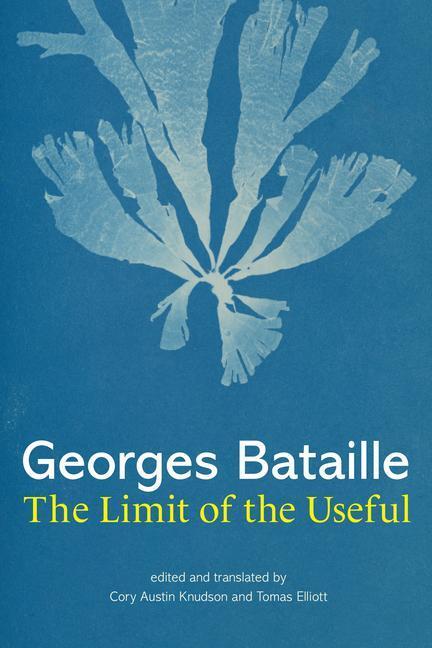 Cover: 9780262047333 | The Limit of the Useful | Georges Bataille | Buch | Englisch | 2023