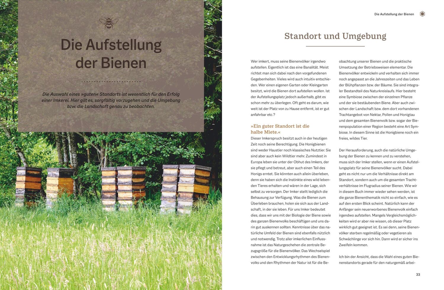 Bild: 9783967470451 | Bienengemäß imkern im Jahreslauf | Günter Friedmann | Buch | 336 S.