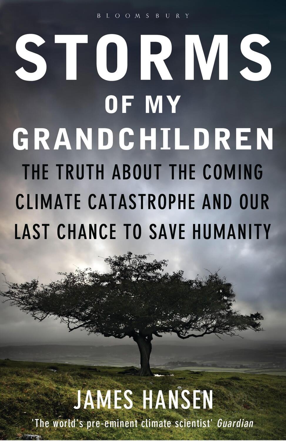 Cover: 9781408807460 | Storms of My Grandchildren | James Hansen | Taschenbuch | Englisch