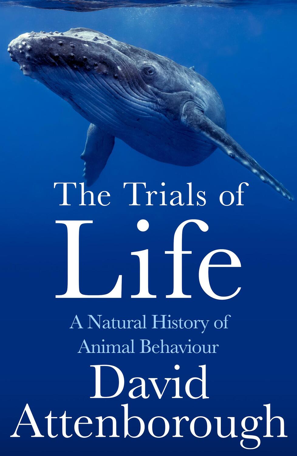 Cover: 9780008477905 | The Trials of Life | A Natural History of Animal Behaviour | Buch