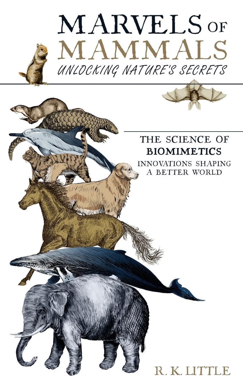 Cover: 9781963907001 | Marvels of Mammals | R K Little | Taschenbuch | Paperback | Englisch