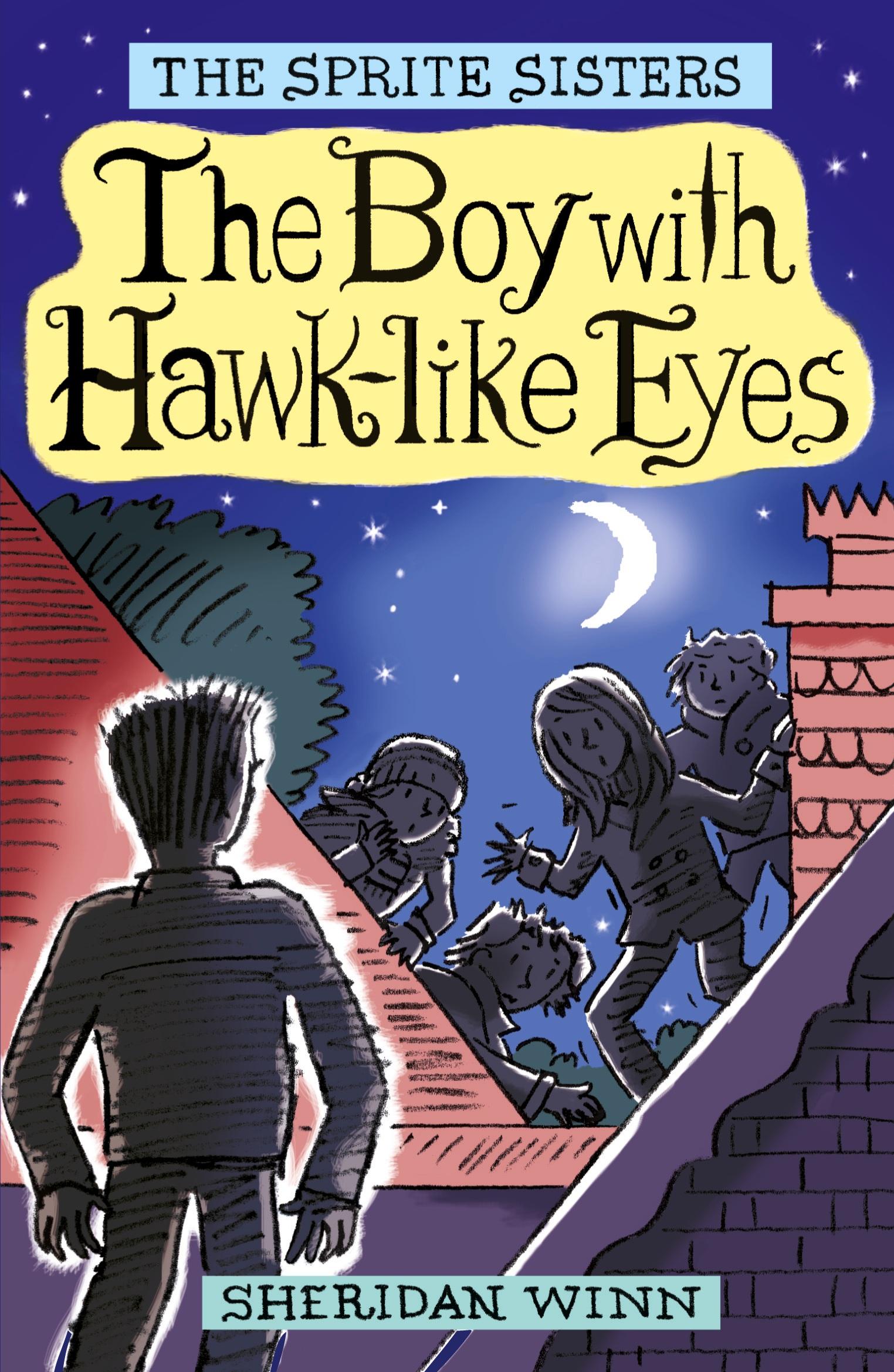 Cover: 9780957164802 | The Sprite Sisters | The Boy with Hawk-Like Eyes (Vol 6) | Winn | Buch