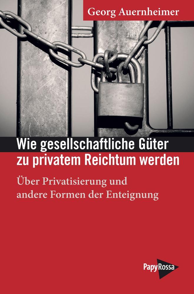 Cover: 9783894387525 | Wie gesellschaftliche Güter zu privatem Reichtum werden | Auernheimer