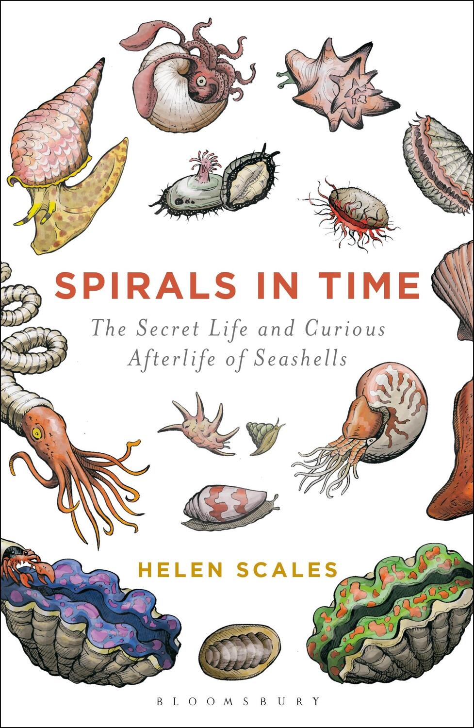 Cover: 9781472911384 | Spirals in Time | The Secret Life and Curious Afterlife of Seashells