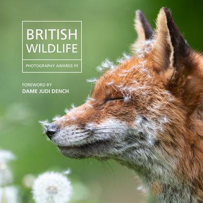 Cover: 9781802584172 | British Wildlife Photography Awards 2023 | Will Nicholls | Buch | 2023