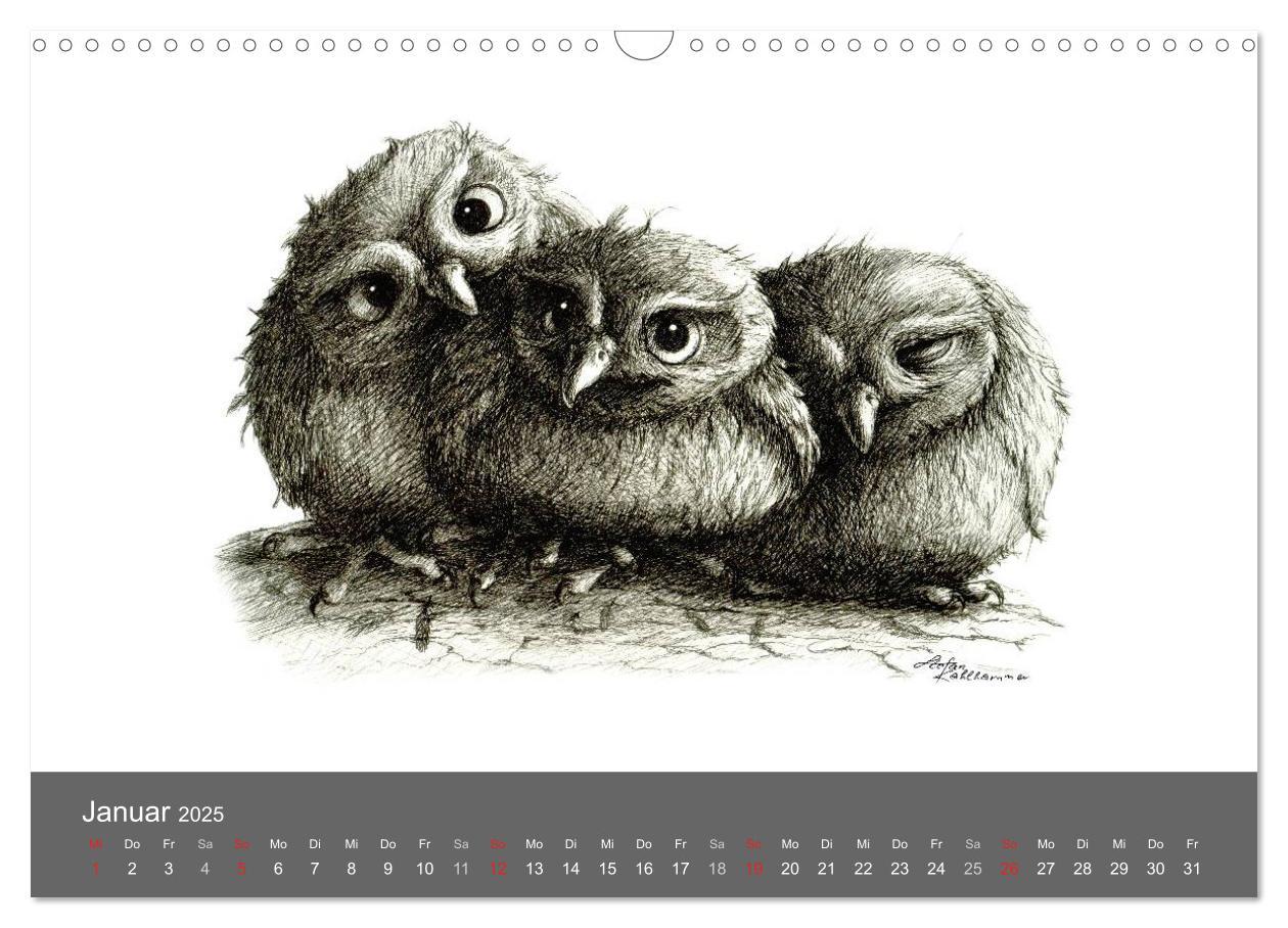 Bild: 9783435824830 | owls &amp; friends 2025 (Wandkalender 2025 DIN A3 quer), CALVENDO...