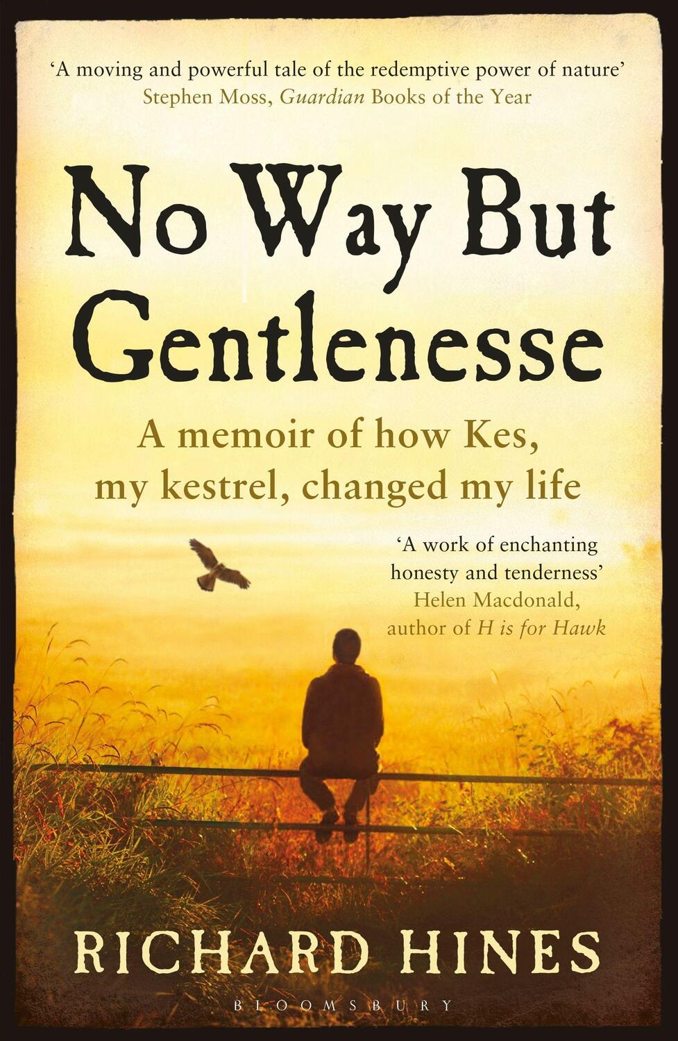 Cover: 9781408868027 | No Way But Gentlenesse | Richard Hines | Taschenbuch | Englisch | 2017