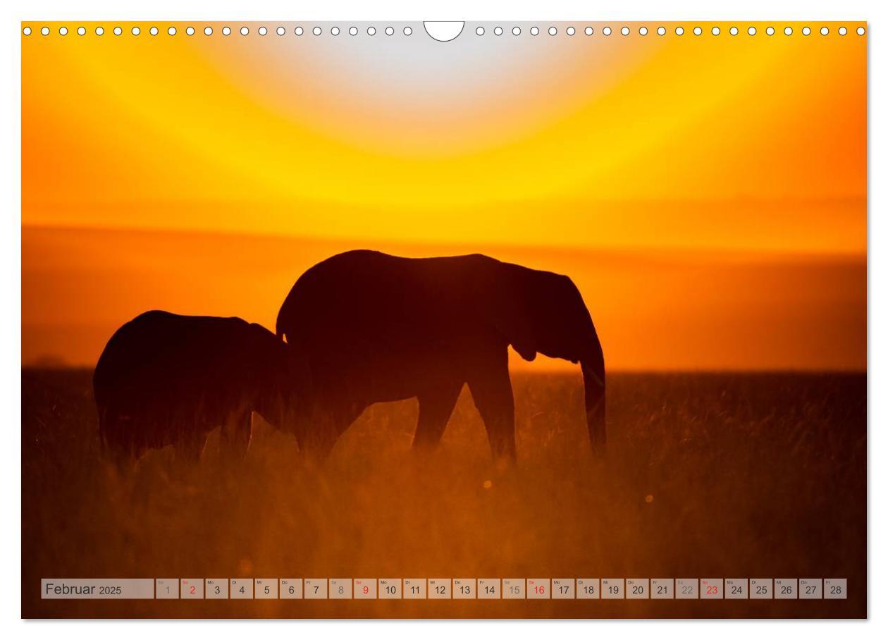 Bild: 9783435740161 | Emotionale Momente: Afrikas Big Five (Wandkalender 2025 DIN A3...