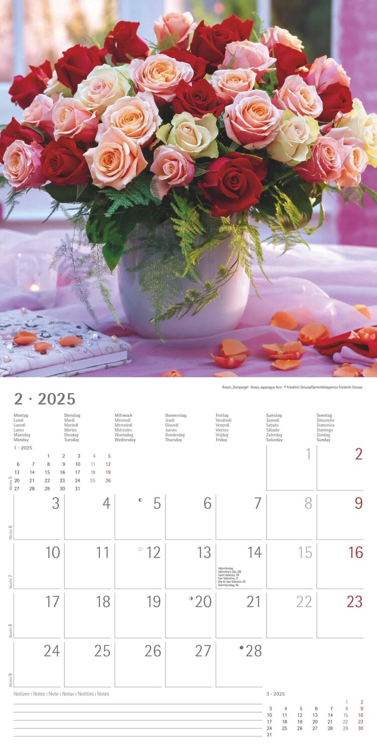 Bild: 4251732340612 | Blumen 2025 - Broschürenkalender 30x30 cm (30x60 geöffnet) -...