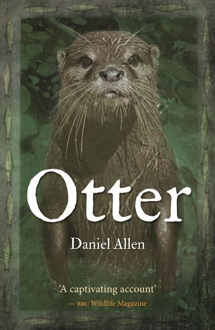 Cover: 9781789142242 | Otter | Daniel Allen | Taschenbuch | Kartoniert / Broschiert | 2020