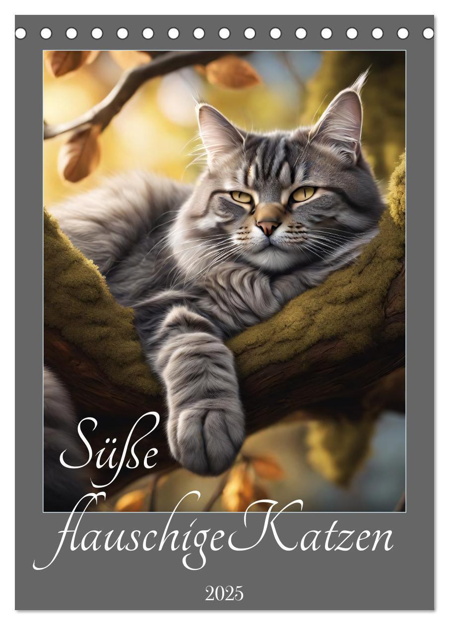 Cover: 9783435849802 | Süße flauschige Katzen (Tischkalender 2025 DIN A5 hoch), CALVENDO...