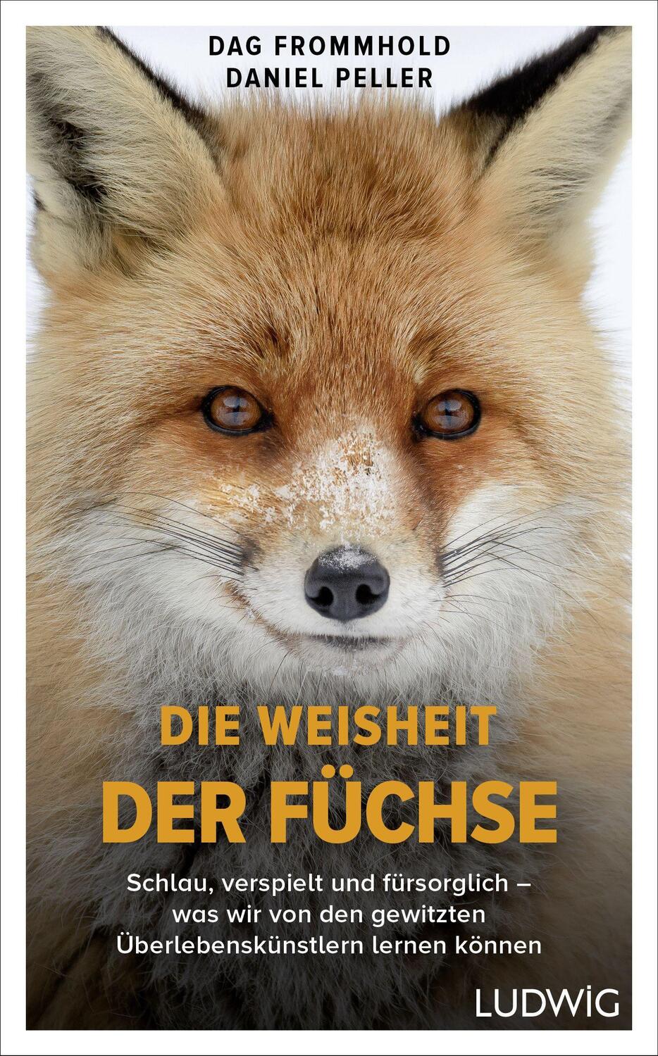 Cover: 9783453281349 | Die Weisheit der Füchse | Dag Frommhold (u. a.) | Buch | Deutsch