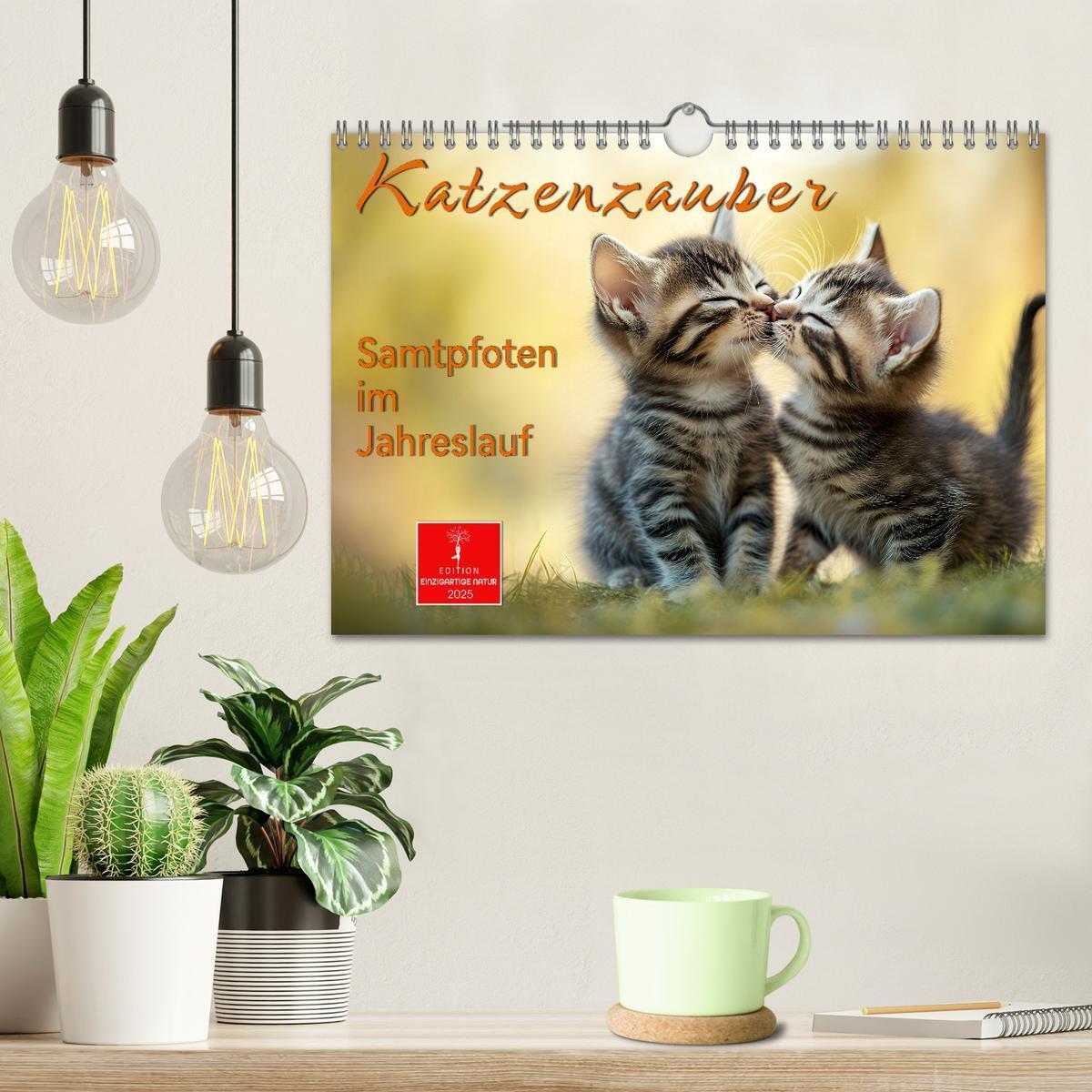 Bild: 9783457218242 | Katzenzauber - Samtpfoten im Jahreslauf (Wandkalender 2025 DIN A4...