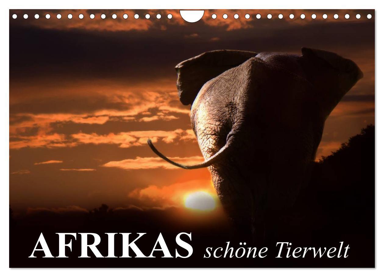 Cover: 9783435606573 | Afrikas schöne Tierwelt (Wandkalender 2025 DIN A4 quer), CALVENDO...