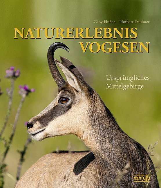 Cover: 9783981088274 | NATURERLEBNIS VOGESEN | Ursprüngliches Mittelgebirge | Hufler (u. a.)