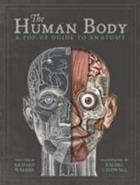 Cover: 9781787410589 | The Human Body | A Pop-Up Guide to Anatomy | Richard Walker | Buch