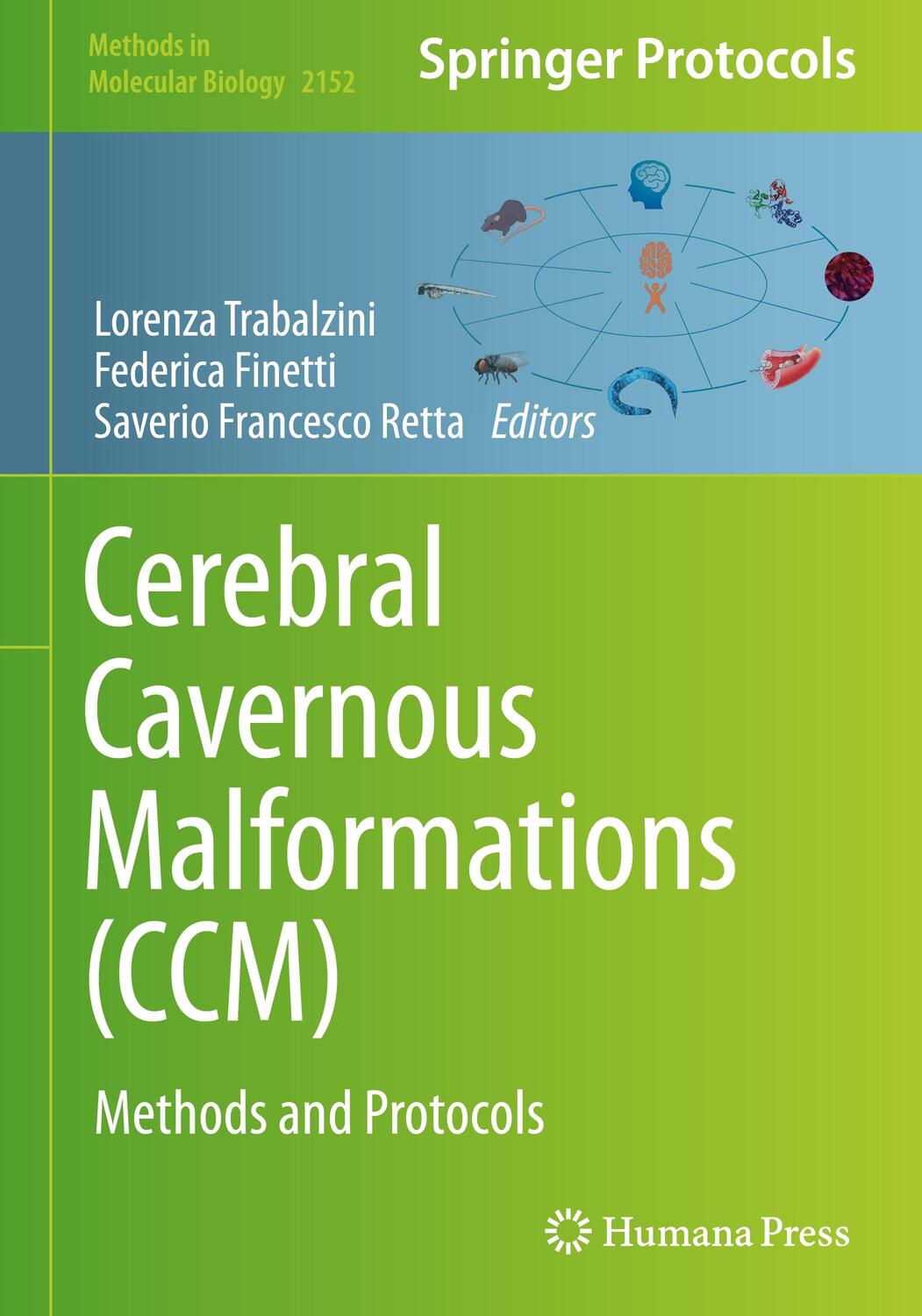 Cover: 9781071606391 | Cerebral Cavernous Malformations (CCM) | Methods and Protocols | Buch