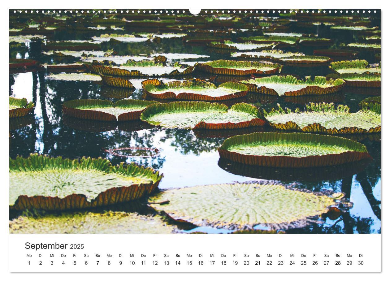 Bild: 9783435093649 | Traumhaftes Mauritius (Wandkalender 2025 DIN A2 quer), CALVENDO...