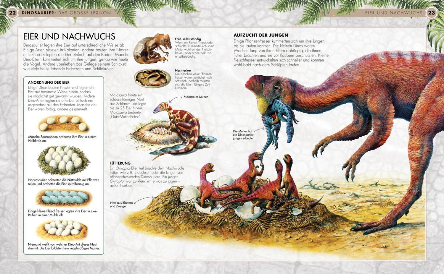 Bild: 9783551252180 | Dinosaurier - Das große Lexikon | Michael K. Brett-Surman | Buch