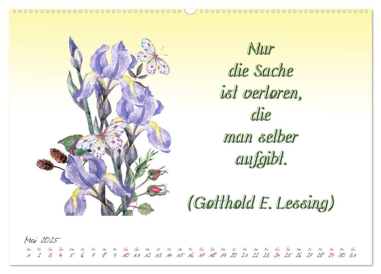 Bild: 9783435397990 | 12 unterhaltsame Zitate für ein schönes Jahr (Wandkalender 2025 DIN...