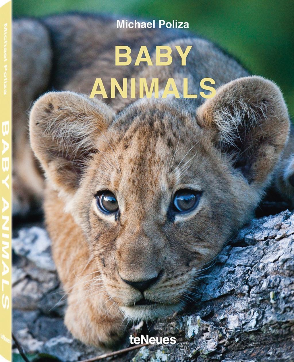Cover: 9783961711413 | Baby Animals | Dt/engl/frz | Michael Poliza | Buch | 160 S. | Deutsch