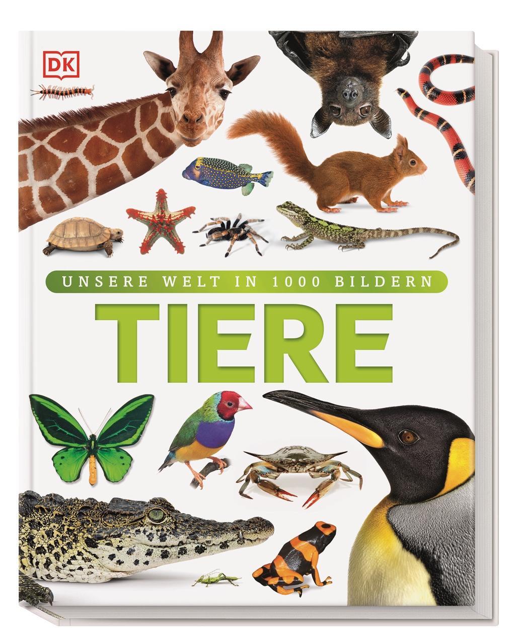 Cover: 9783831026982 | Tiere | Säugetiere, Vögel, Fische, Reptilien und Insekten | Buch