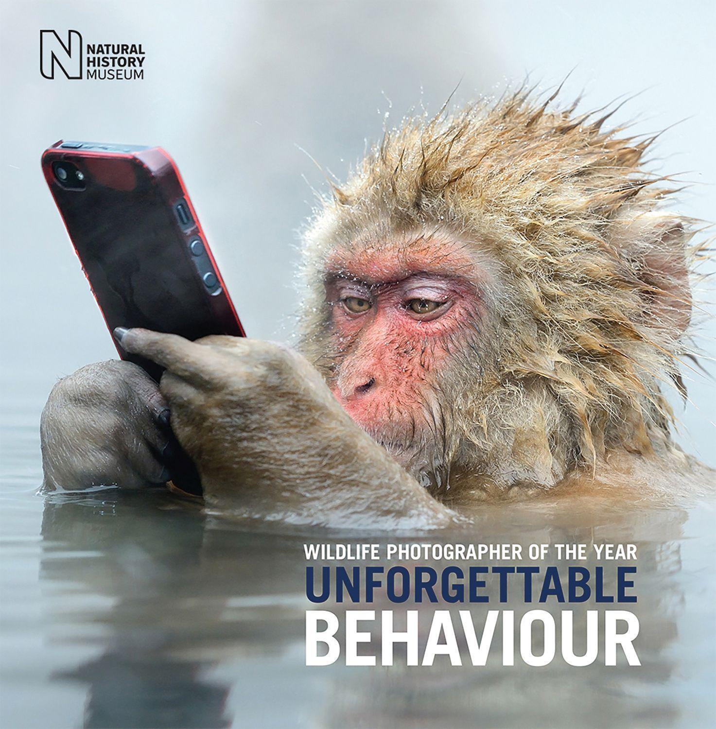 Cover: 9780565094119 | Wildlife Photographer of the Year: Unforgettable Behaviour | Museum
