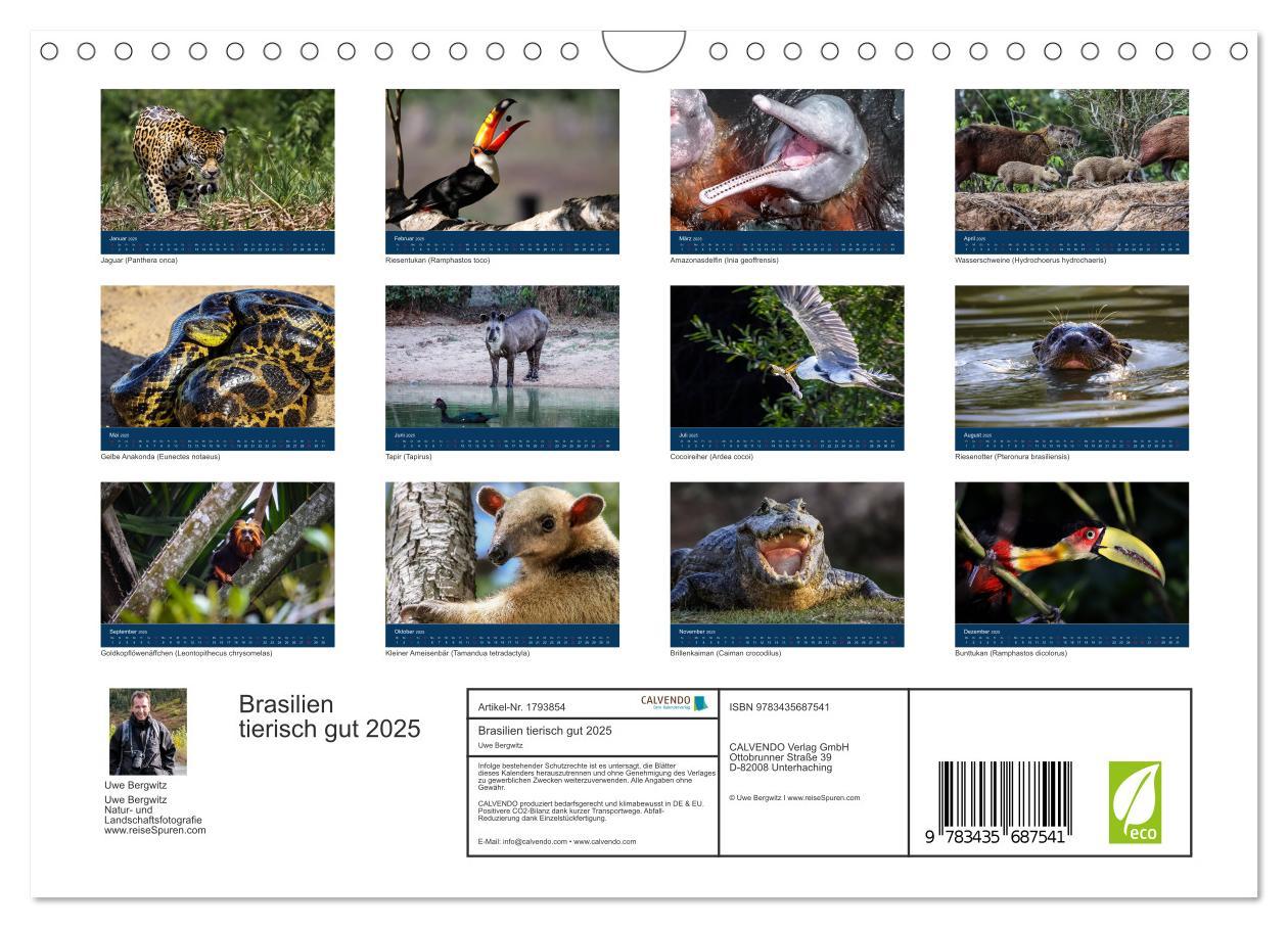 Bild: 9783435687541 | Brasilien tierisch gut 2025 (Wandkalender 2025 DIN A4 quer),...