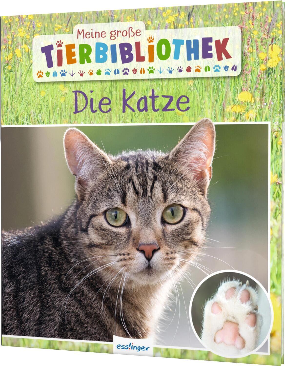 Cover: 9783480236596 | Meine große Tierbibliothek: Die Katze | Stéphanie Ledu-Frattini | Buch