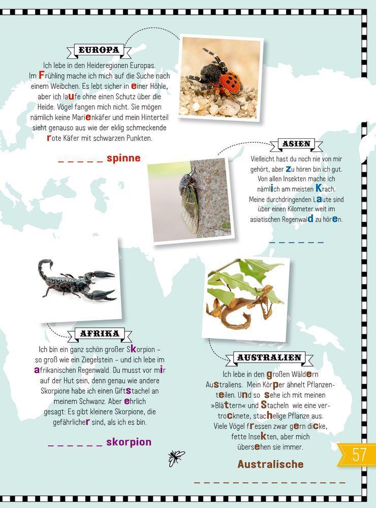 Bild: 9783959390958 | INSEKTEN &amp; Co. | Roots | Buch | 64 S. | Deutsch | 2021