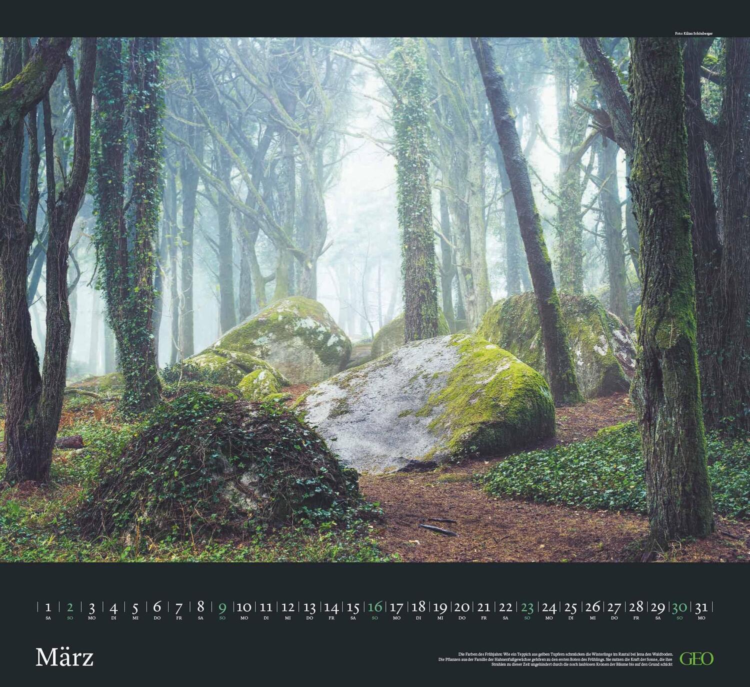 Bild: 4002725988690 | GEO Klassiker: Traumpfade 2025 - Wand-Kalender - Reise-Kalender -...