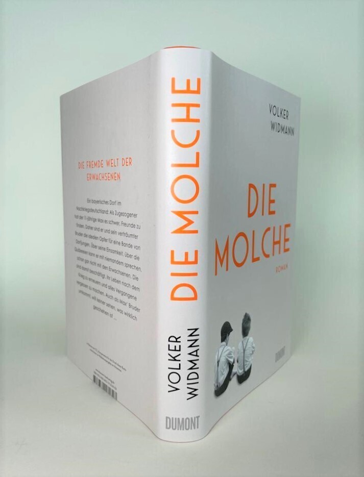 Bild: 9783832181727 | Die Molche | Roman | Volker Widmann | Buch | 256 S. | Deutsch | 2022