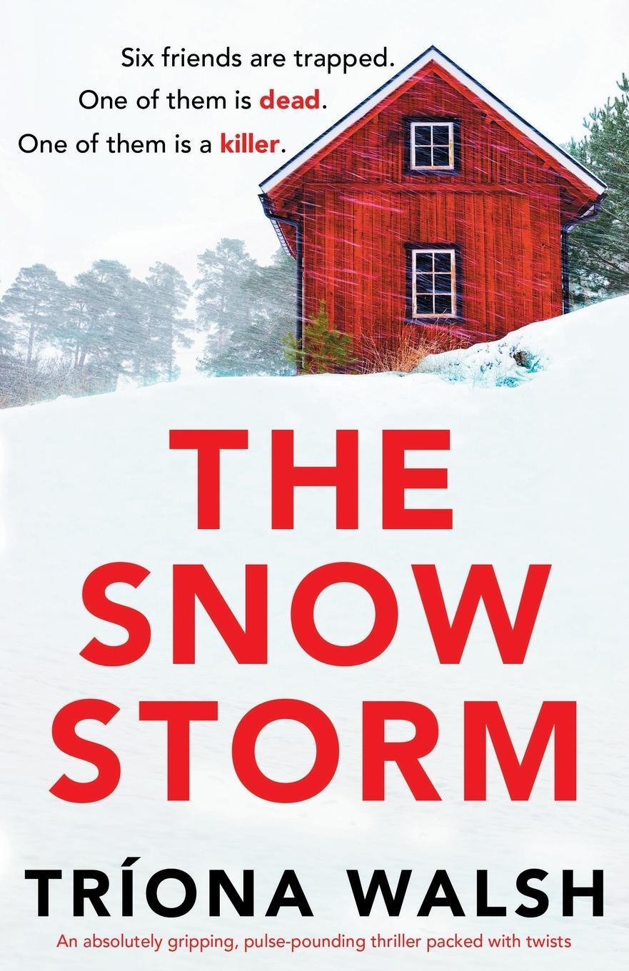 Cover: 9781803148502 | The Snowstorm | Tríona Walsh | Taschenbuch | Paperback | Englisch