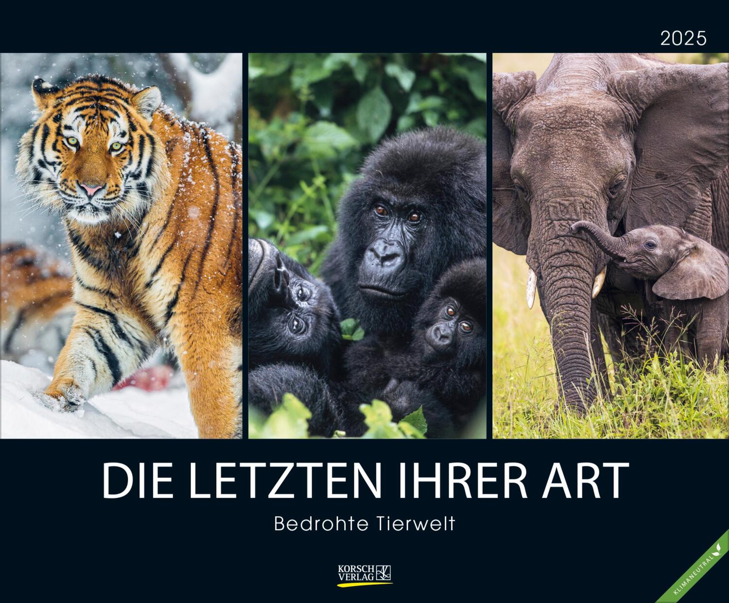 Cover: 9783731879985 | Bedrohte Tierwelt 2025 | Verlag Korsch | Kalender | Spiralbindung