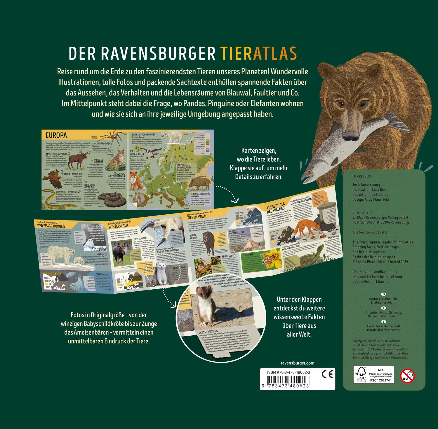 Rückseite: 9783473480623 | Der Ravensburger Tieratlas - eine tierisch spannende Reise rund um...
