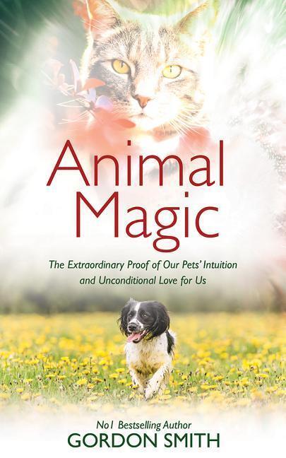 Cover: 9781788170635 | ANIMAL MAGIC | Gordon Smith | Taschenbuch | Kartoniert / Broschiert