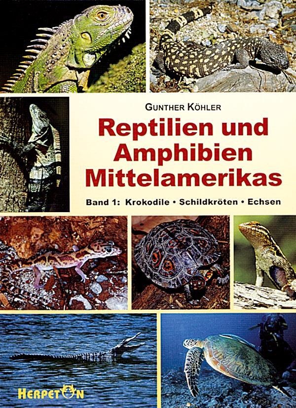 Cover: 9783980621403 | Reptilien und Amphibien Mittelamerikas. (Bd. 1 ) | Gunther Köhler