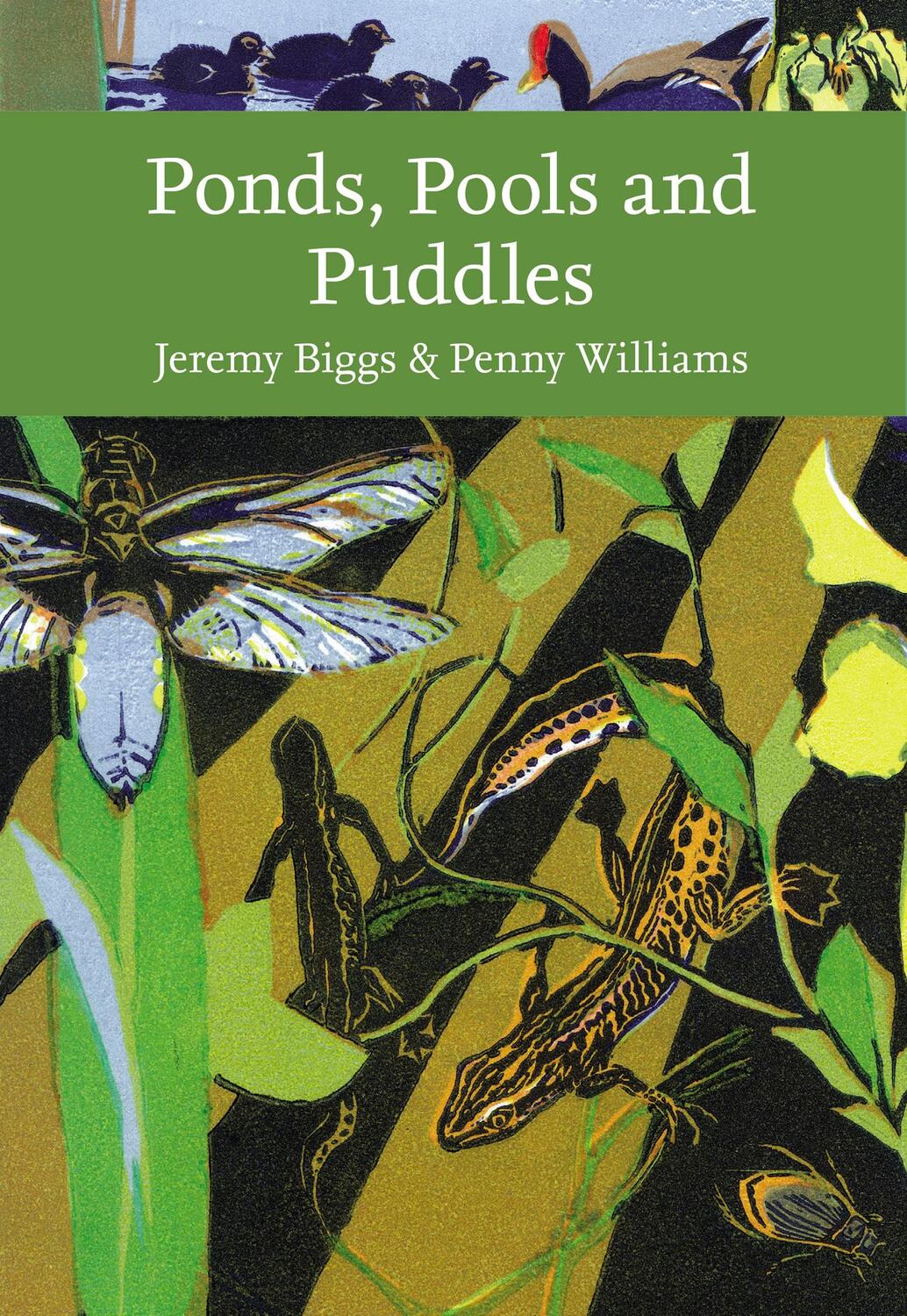 Cover: 9780008703004 | Ponds, Pools and Puddles | Jeremy Biggs (u. a.) | Taschenbuch | 2024
