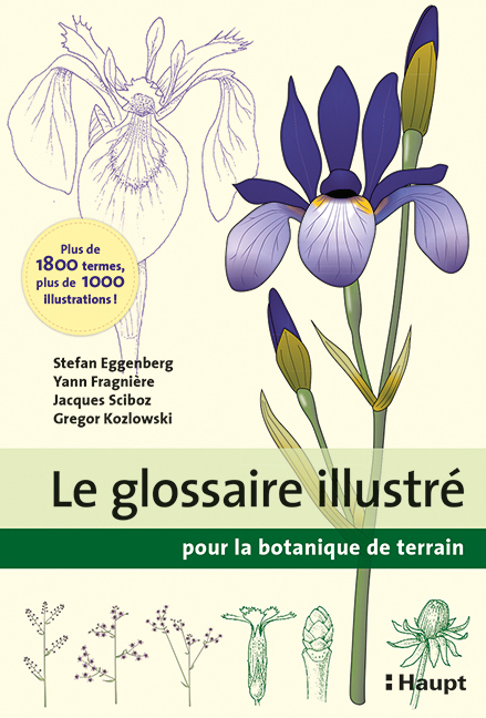 Cover: 9783258081762 | Le glossaire illustré pour la botanique de terrain | Eggenberg (u. a.)