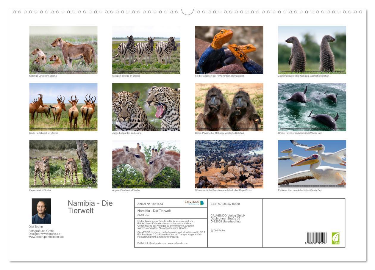 Bild: 9783435715558 | Namibia - Die Tierwelt (Wandkalender 2025 DIN A2 quer), CALVENDO...