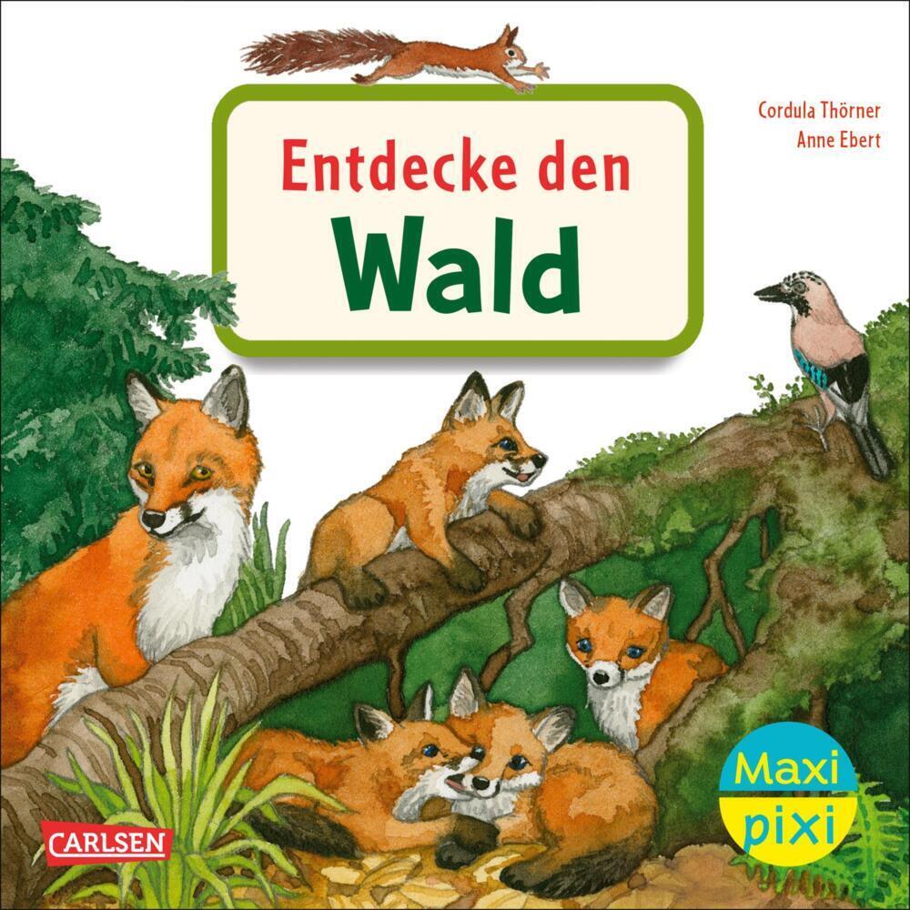 Cover: 9783551059482 | Maxi Pixi 399: VE 5 Entdecke den Wald (5 Exemplare) | Cordula Thörner