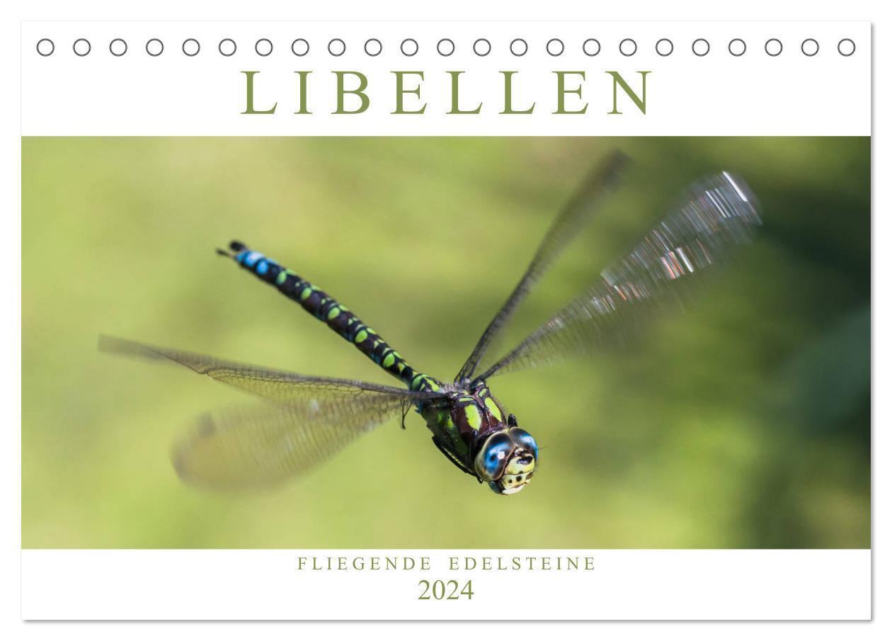 Cover: 9783675586765 | Libellen - Fliegende Edelsteine (Tischkalender 2024 DIN A5 quer),...